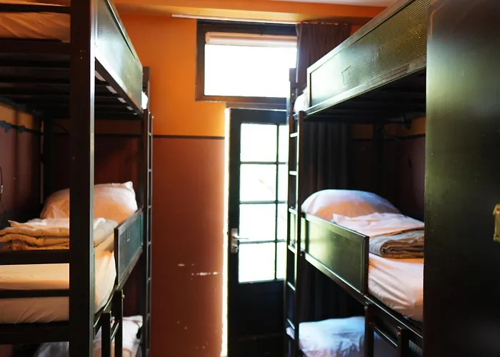 Onefam Amstel 호스텔 *